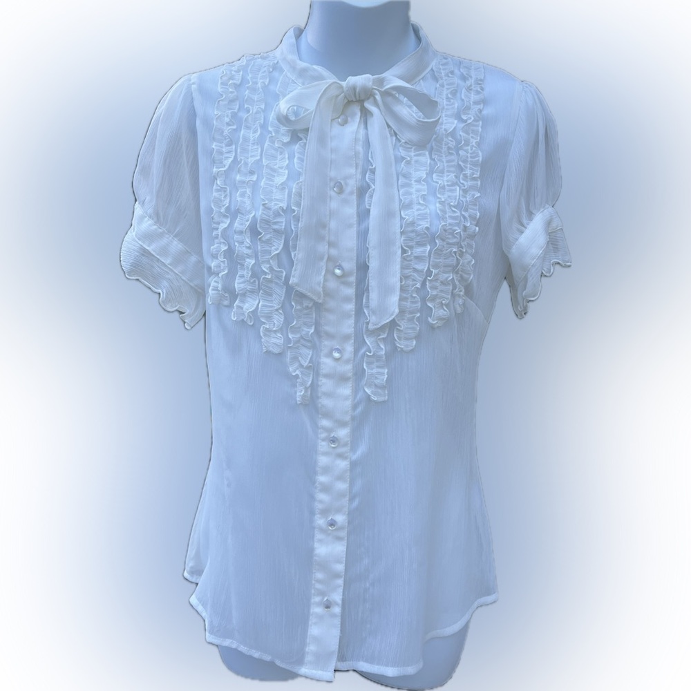 FLEURISH Ruffled Button Down Textured Sheer Blouse
